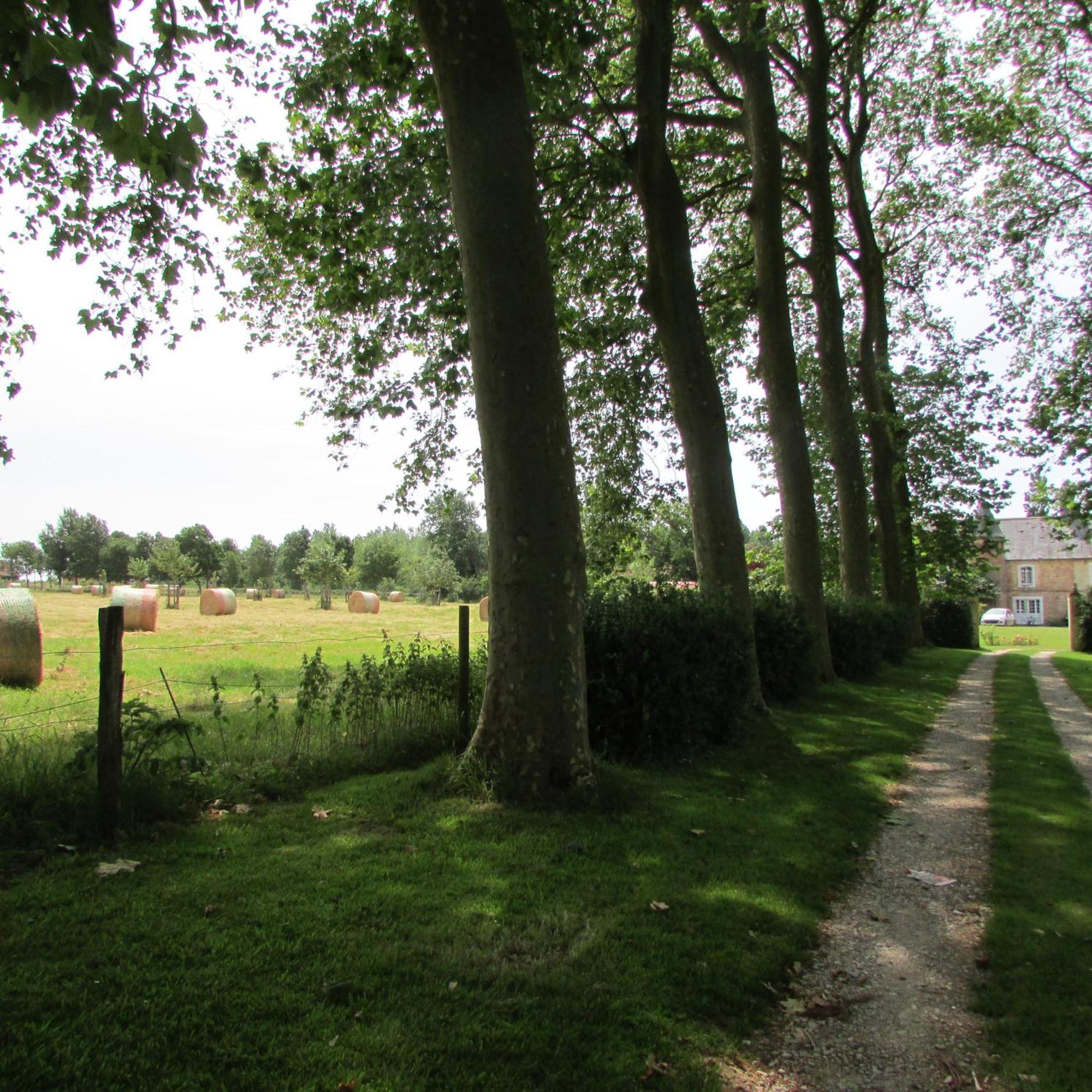 Gite Manoir Les Camps Greslins Questrecques Exterior foto